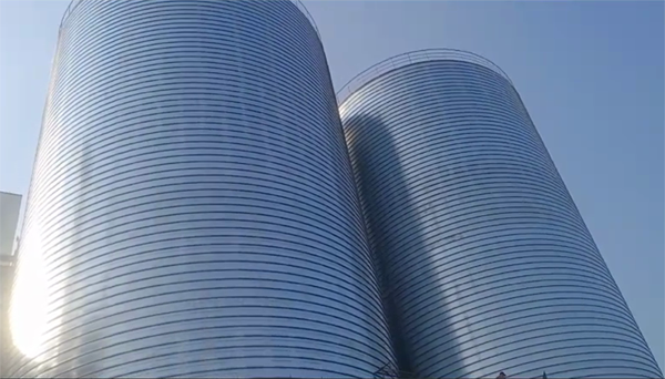 禹会2座混凝土高架卷板仓